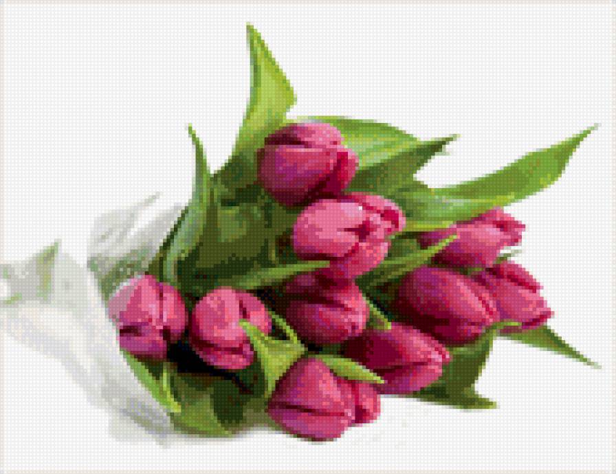 Тюльпаны - букет, тюльпаны, цветы - предпросмотр