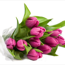 Схема вышивки «Тюльпаны»