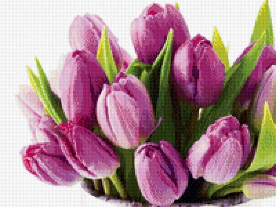 Тюльпаны - букет, тюльпаны, цветы - предпросмотр