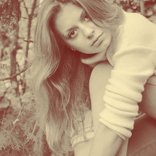 Схема вышивки «е567»