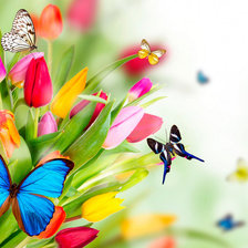 Схема вышивки «Весенний букет»