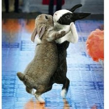 Схема вышивки «Медленный Вальс»