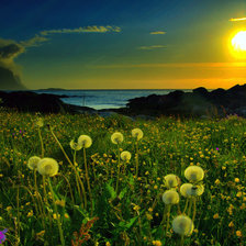 Схема вышивки «Закат»