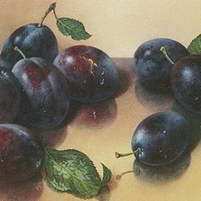 Схема вышивки «сливы»