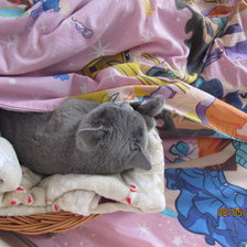 Схема вышивки «фая»