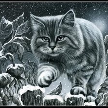 Схема вышивки «Кот Ирины Гармашовой»