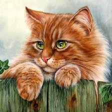 Схема вышивки «Ряжий кот»