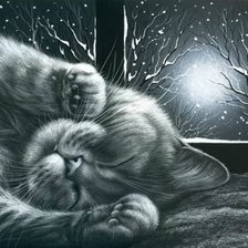 Схема вышивки «Кот»