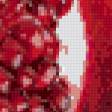 Предпросмотр схемы вышивки «гранат» (№665588)