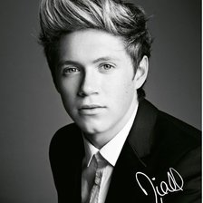 Схема вышивки «Найл»