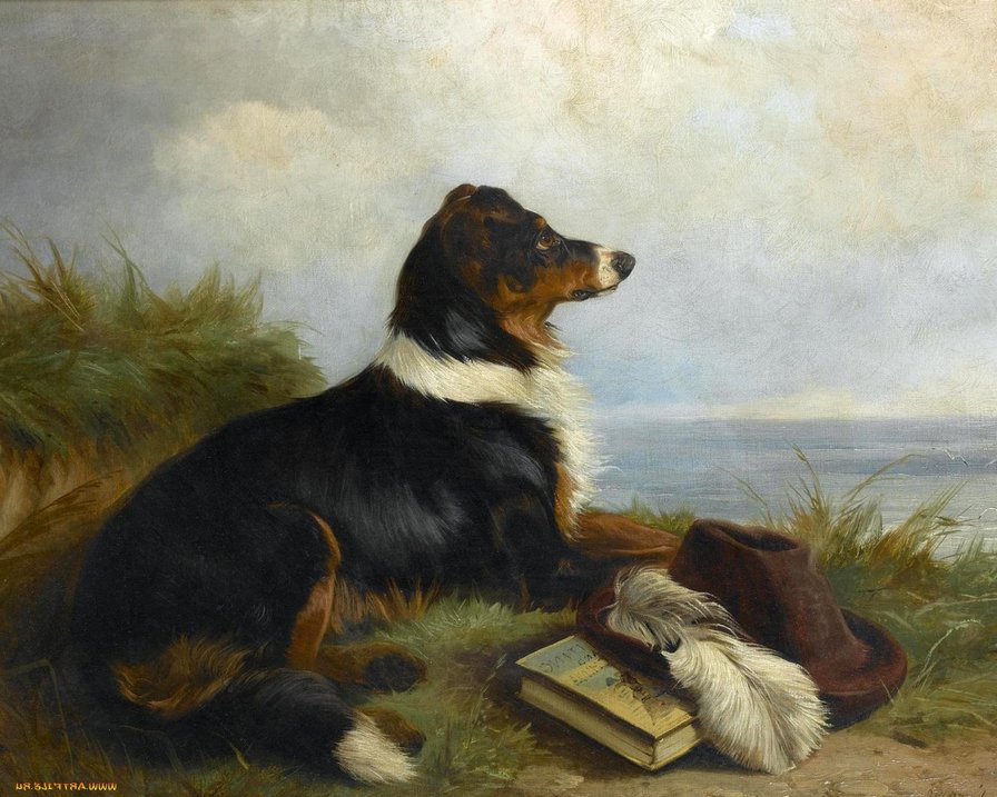 охота - собаки - оригинал