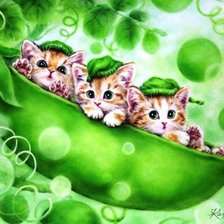 Схема вышивки «№665668»