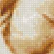 Предпросмотр схемы вышивки «полеты во сне» (№665670)
