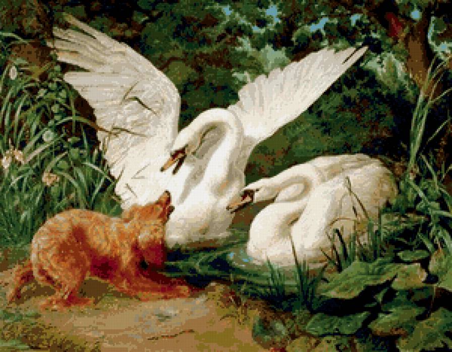 лебединая пара - пейзаж, животные, пара, лебеди, природа, птицы - предпросмотр