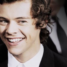 Схема вышивки «Гарри»