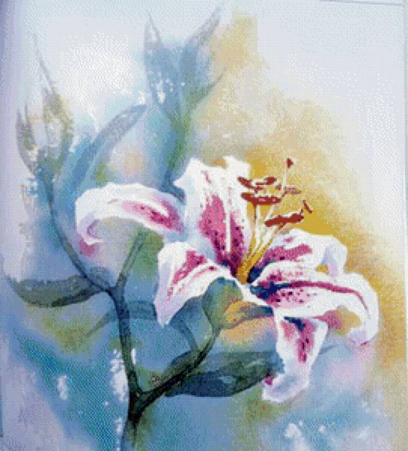 Цветок лилии - предпросмотр