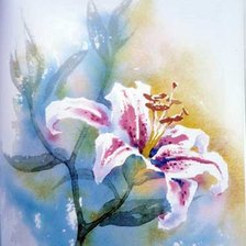 Цветок лилии