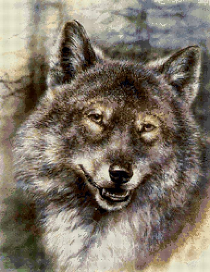 волк - волки, природа, животные - предпросмотр