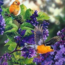 Схема вышивки «птицы на сирени»