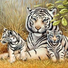 Схема вышивки «tigri»