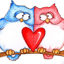 Схема вышивки «совы»