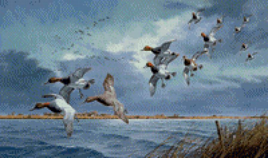 охота на уток - предпросмотр