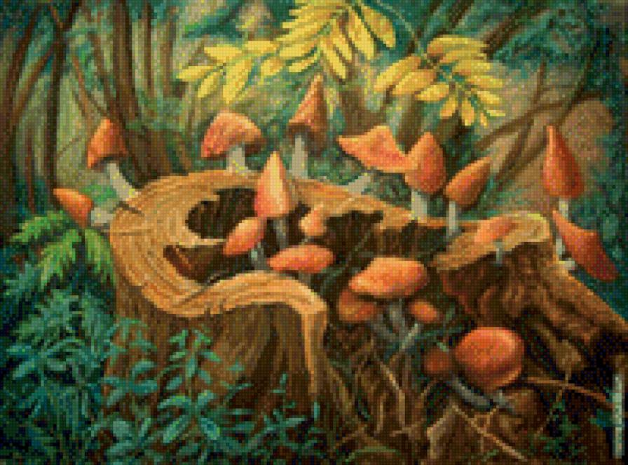 грибы - предпросмотр