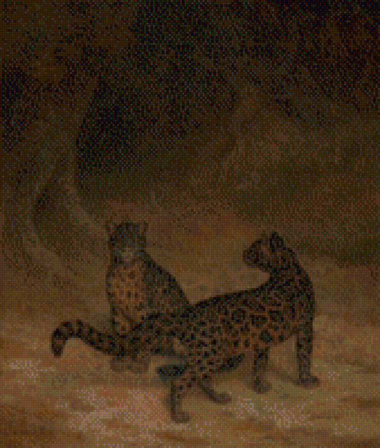 леопарды - предпросмотр