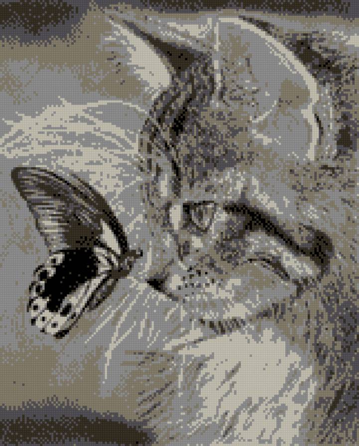 pisi cu fluture - предпросмотр