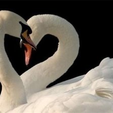 Схема вышивки «№666335»