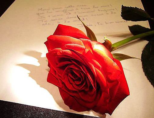 №666343 - оригинал