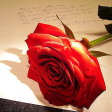 Схема вышивки «№666343»