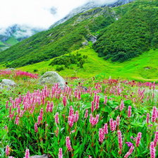 Схема вышивки «№666448»