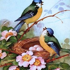 Схема вышивки «пано птицы»