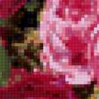 Предпросмотр схемы вышивки «букет роз» (№666553)