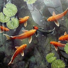 Схема вышивки «карпы»