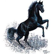 Схема вышивки «конь»