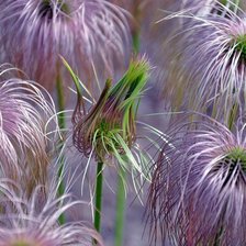 Схема вышивки «№666834»