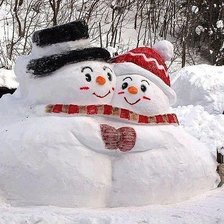 снежная пара