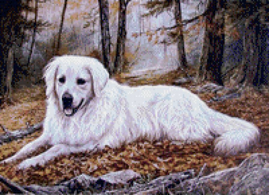 друг - предпросмотр