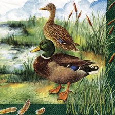 Схема вышивки «уточки»