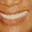 Предпросмотр схемы вышивки «тайра бэнкс9» (№667047)