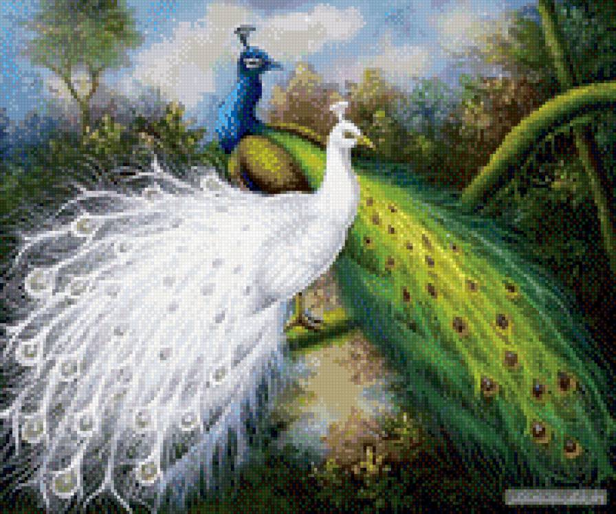 два павлина - зеленый, белый, пара, павлины - предпросмотр