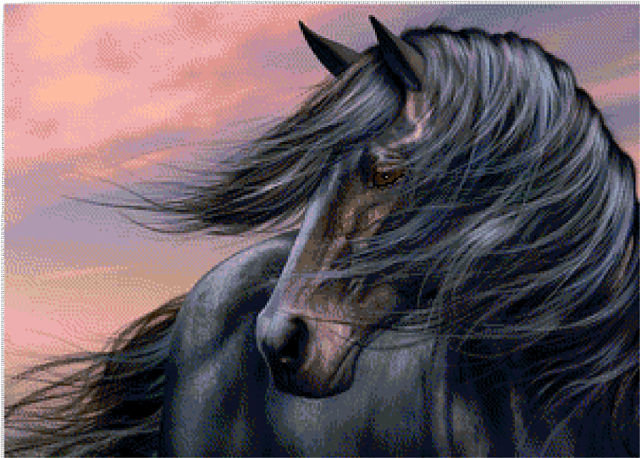 Черный конь - лошади, животные - оригинал