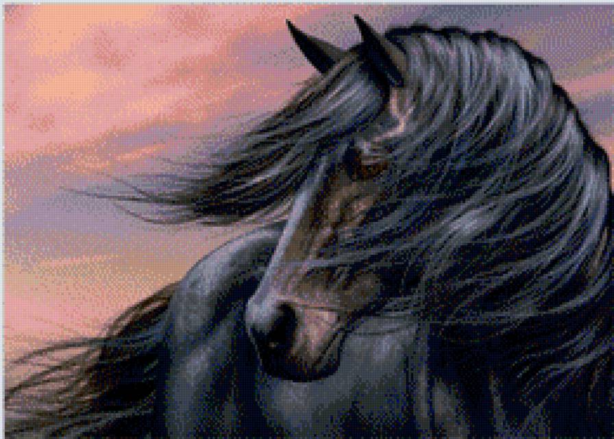 Черный конь - лошади, животные - предпросмотр