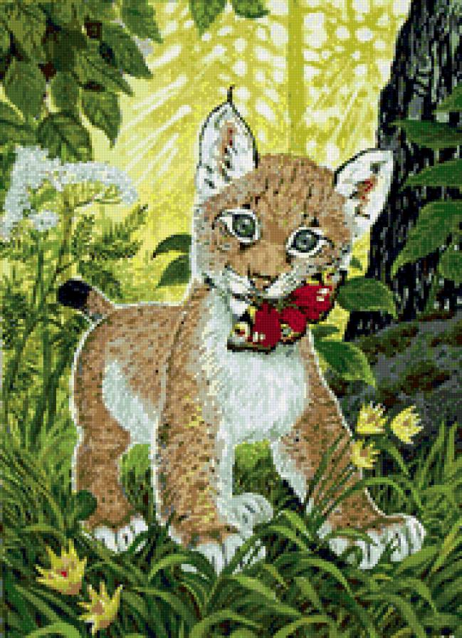 маленький охотник - рысь, животные, кошки, бабочки, хищники, природа - предпросмотр