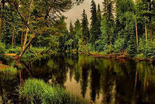 Схема вышивки «лесное озеро»