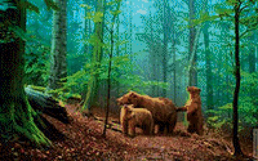 три медведя - семья, медведи, лес - предпросмотр