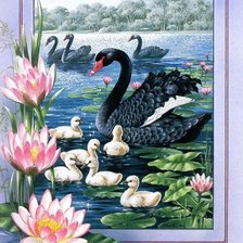 Схема вышивки «лебединное семейство»