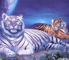Схема вышивки «Тигры»